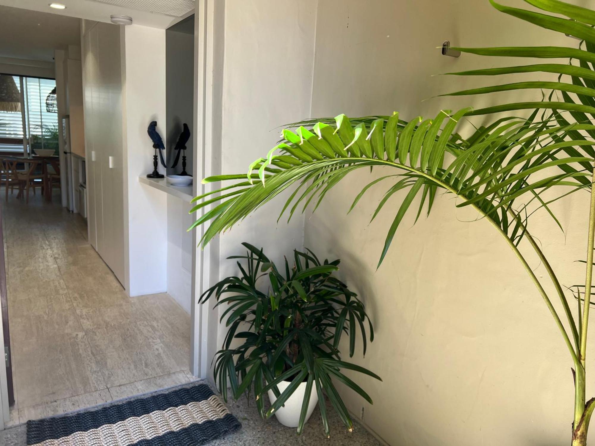 Carramah Noosa Heads Apartment Exterior photo